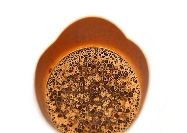 Chocolate cosmos