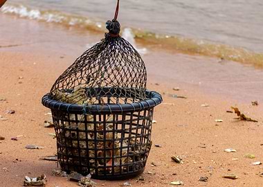 Fishing Basket