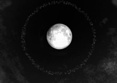 Moon Halo