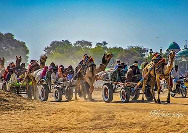 village life of Pakistanis