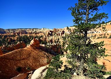 Bryce Canyon