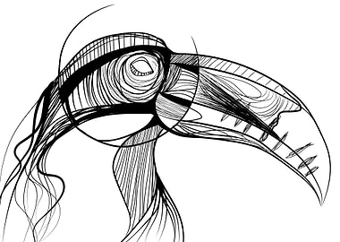 Toucan sketck