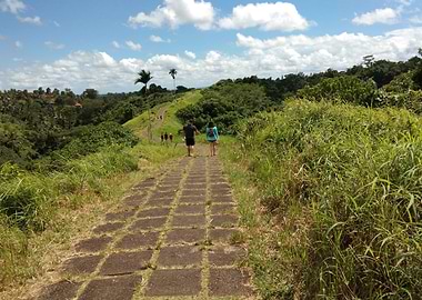 Campuhan Ridge Walk