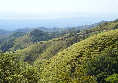 Monteverde