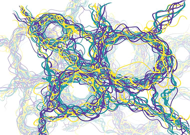 Neurographic Resolve