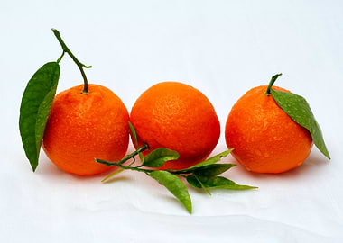 Three Tangerine Fruits