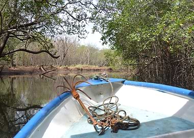 Boat Through The River
