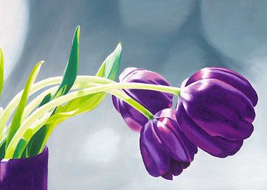 Purple Tulips I