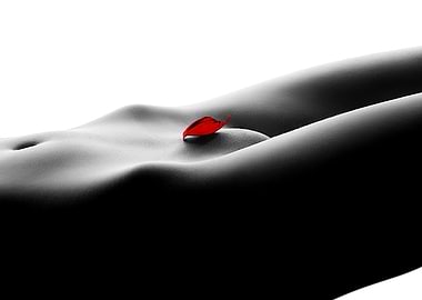 Nude bodyscape on white 1