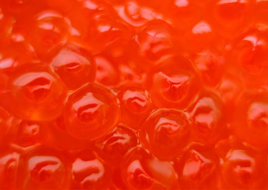 Abstraction Salmon caviar