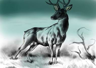 stag