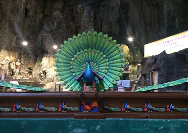 Peacock in Hindu temple