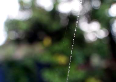 Droplets 104