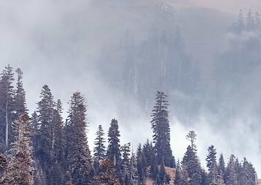 Misty Mountain Landscape