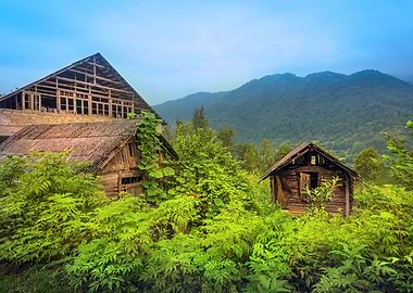 Living in a Mountains