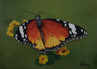 Orange Butterfly