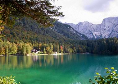 Charmed and Enchanted