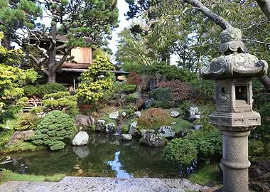 Japanese Tea Garden 2