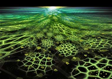 March of the Turtles