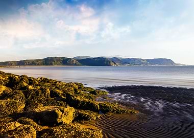 What Is In Your Heart