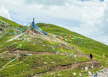 Generations in the Mts