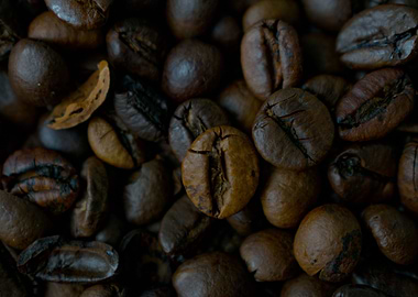 Closeup of coffee beans