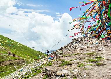 Generations in the Mts