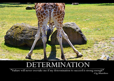 DETERMINATION