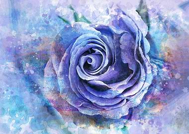 Romantic Blue Rose Pastel