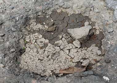 Yin and Yang in the puddle