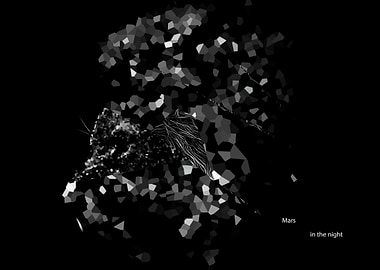 Mars in the night