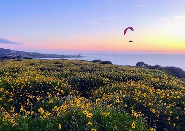 Flying Through La Jolla
