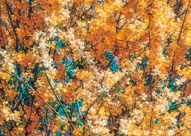 abstract tree in bloom