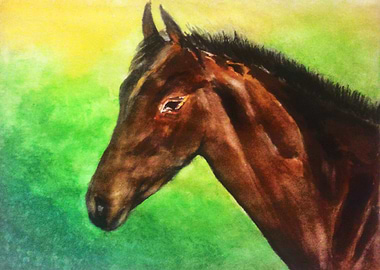Horse Painting