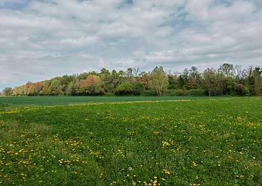 countryside landscape
