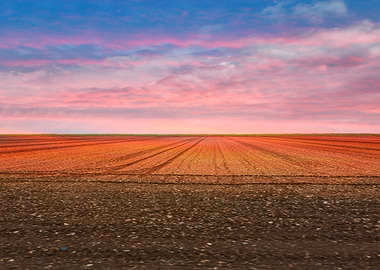 cultivated field and cloud