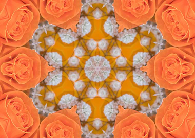 creative roses bouquet