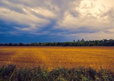 cultivated field and cloud