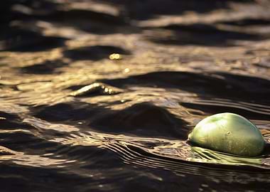 Abstract fishing float