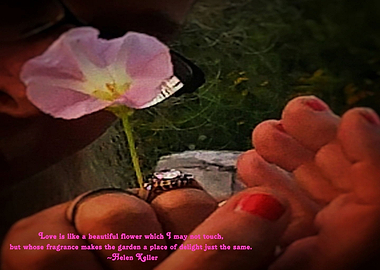 Flower Blooming Quote