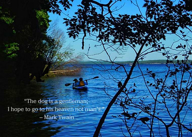 Mans Best Friend Nature