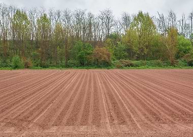 cultivated field and cloud