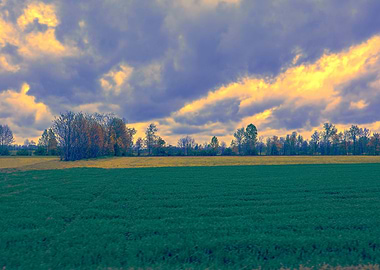 scenic field with cloudy