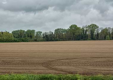 cultivated field and cloud