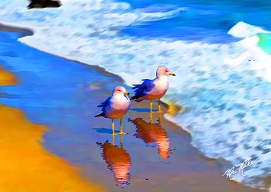 Malibu Sandpiper sisters