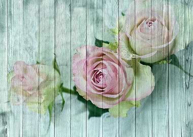 Shabby Chic Pink Roses
