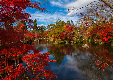 Japanese Zen Garden