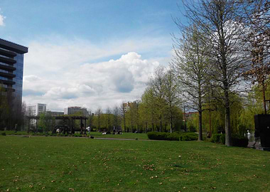 Afternoon in the park