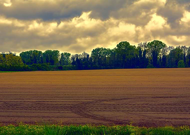 scenic field with cloudy