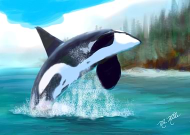 Free Orca